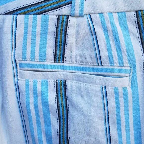 Express correspondent Stripe Cropped Pants Size 8 - Picture 2 of 10